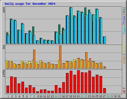 Daily usage for December 2024