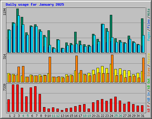 Daily usage for January 2025