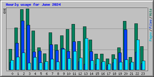 Hourly usage for June 2024