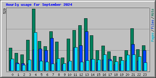 Hourly usage for September 2024