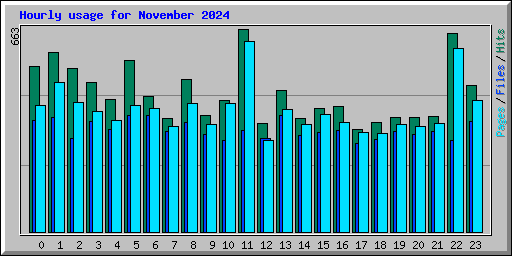 Hourly usage for November 2024