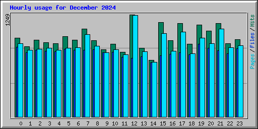 Hourly usage for December 2024