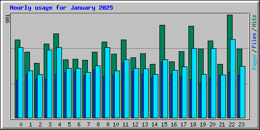 Hourly usage for January 2025