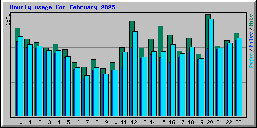 Hourly usage for February 2025