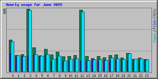 Hourly usage for June 2025