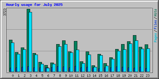 Hourly usage for July 2025