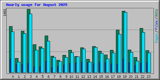 Hourly usage for August 2025