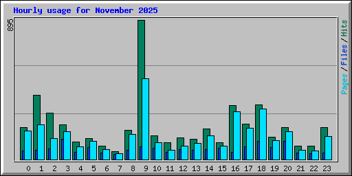 Hourly usage for November 2025