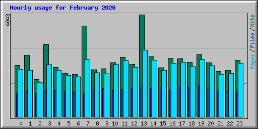 Hourly usage for February 2026