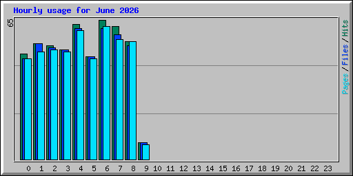 Hourly usage for June 2026