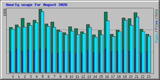 Hourly usage for August 2026