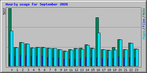 Hourly usage for September 2026