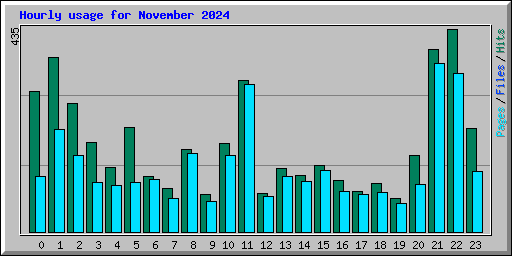 Hourly usage for November 2024