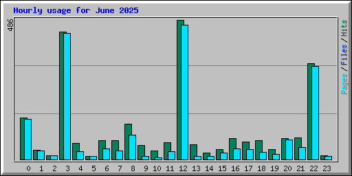 Hourly usage for June 2025