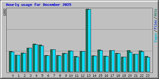 Hourly usage for December 2025