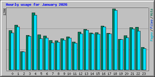 Hourly usage for January 2026